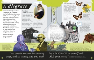 all about evolution (big questions)