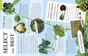 all about evolution (big questions)