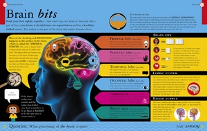 all about your brain (big questions)