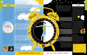 all about your brain (big questions)