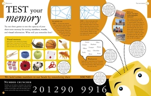 all about your brain (big questions)