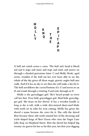 all our shimmering skies