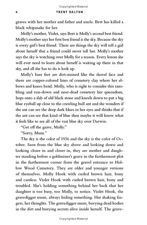 all our shimmering skies