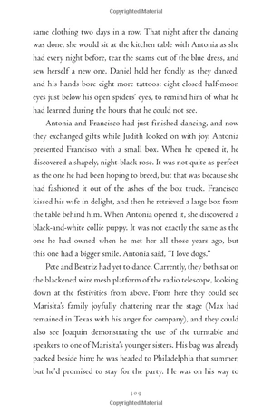 all the crooked saints