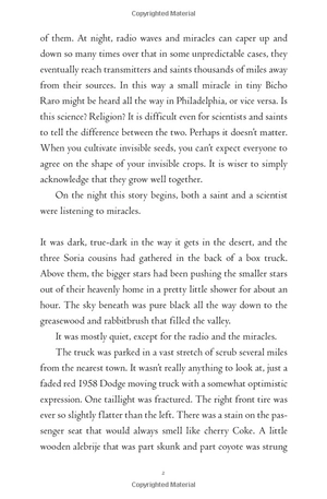 all the crooked saints