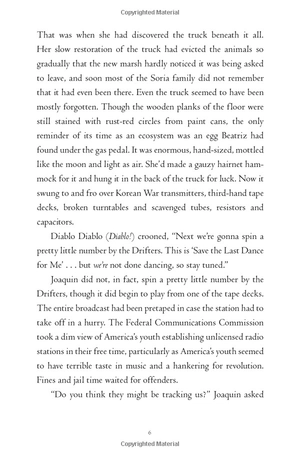 all the crooked saints