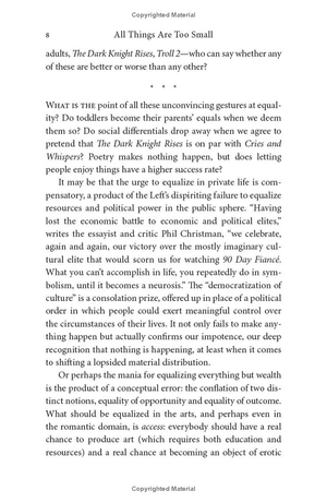 all things are too small - essays in praise of excess