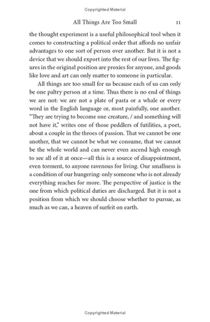 all things are too small - essays in praise of excess
