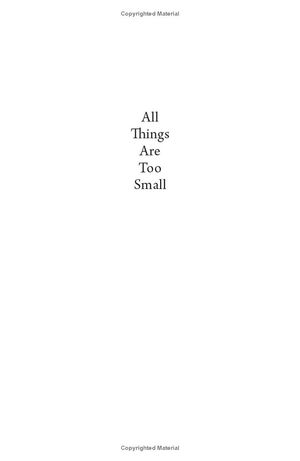 all things are too small - essays in praise of excess