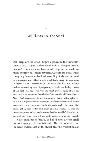 all things are too small - essays in praise of excess