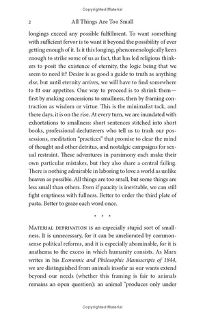 all things are too small - essays in praise of excess