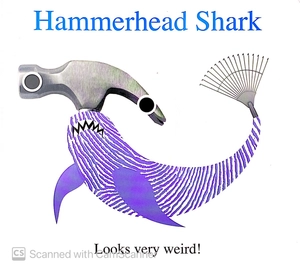 alphaprints: sea life