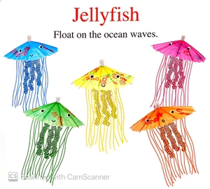 alphaprints: sea life