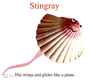 alphaprints: sea life