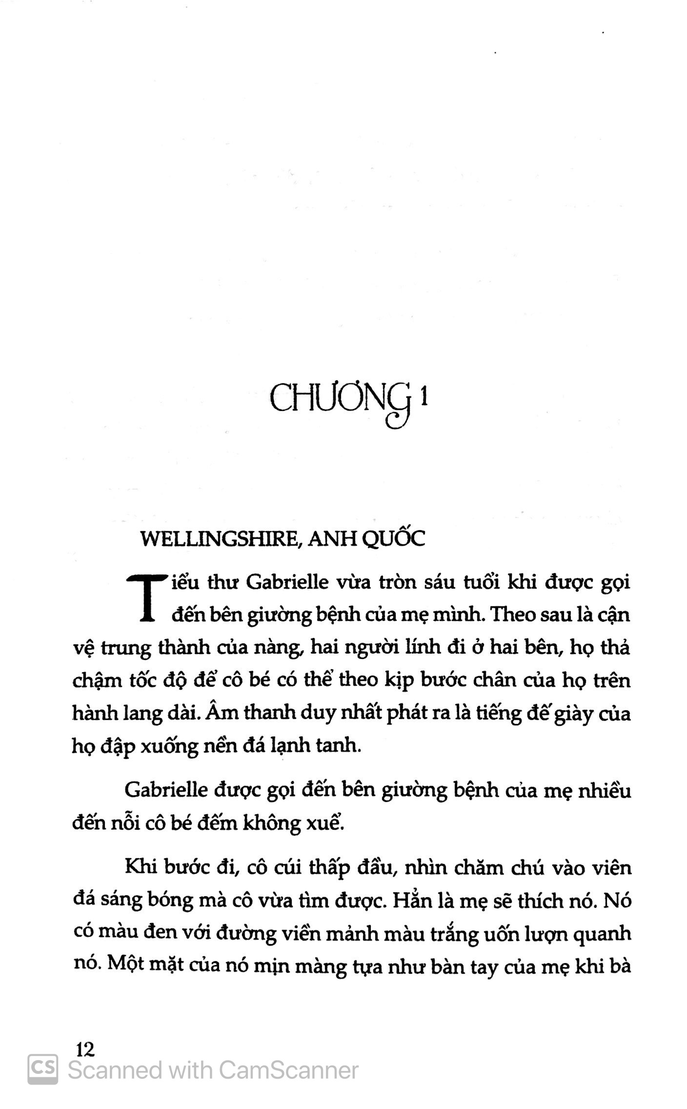 âm điệu bóng đêm