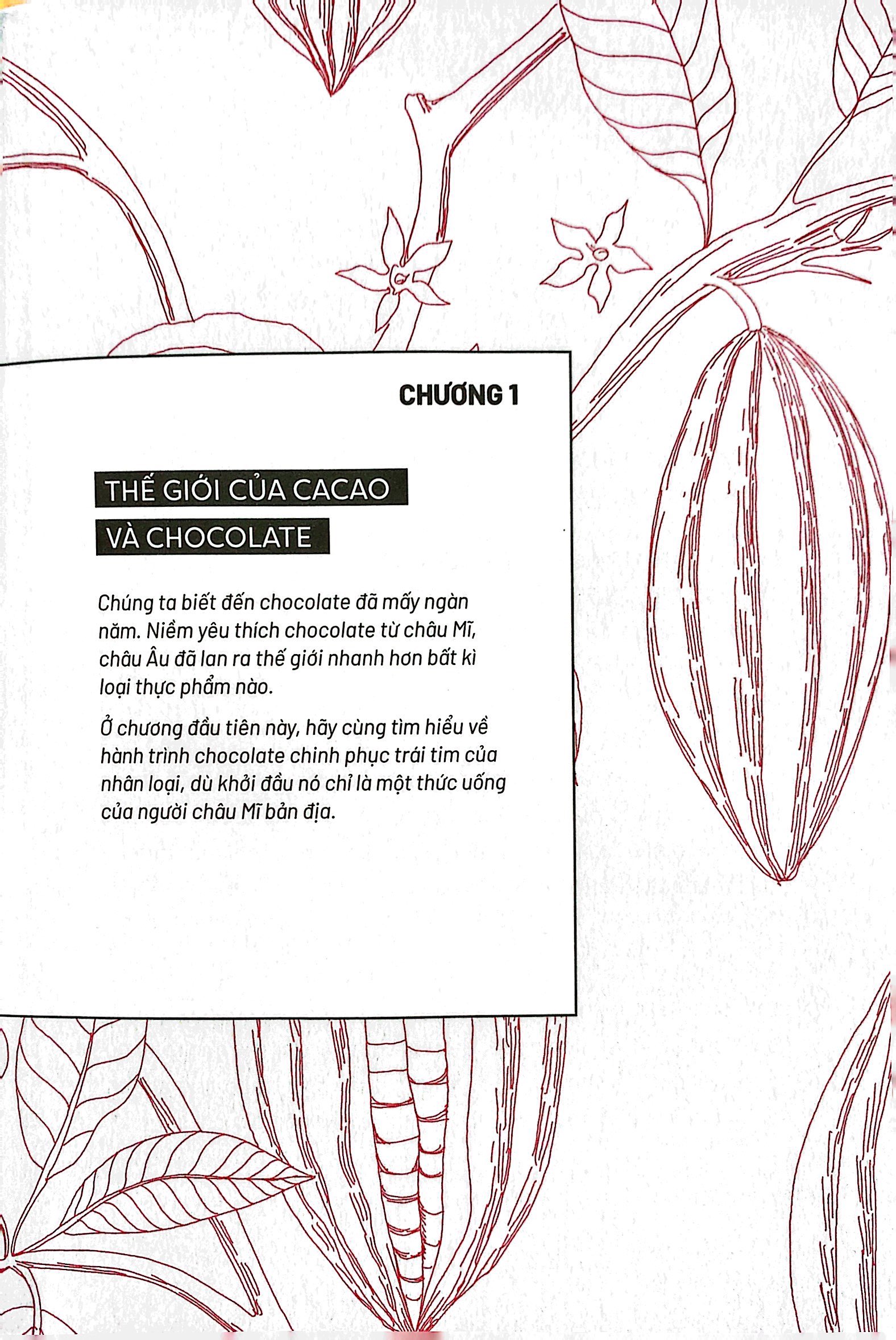 ẩm thực chinh phục thế giới - chocolate