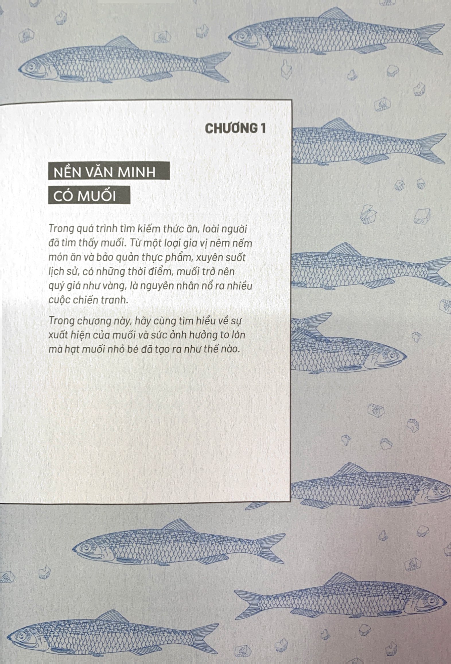 ẩm thực chinh phục thế giới - dư vị của muối