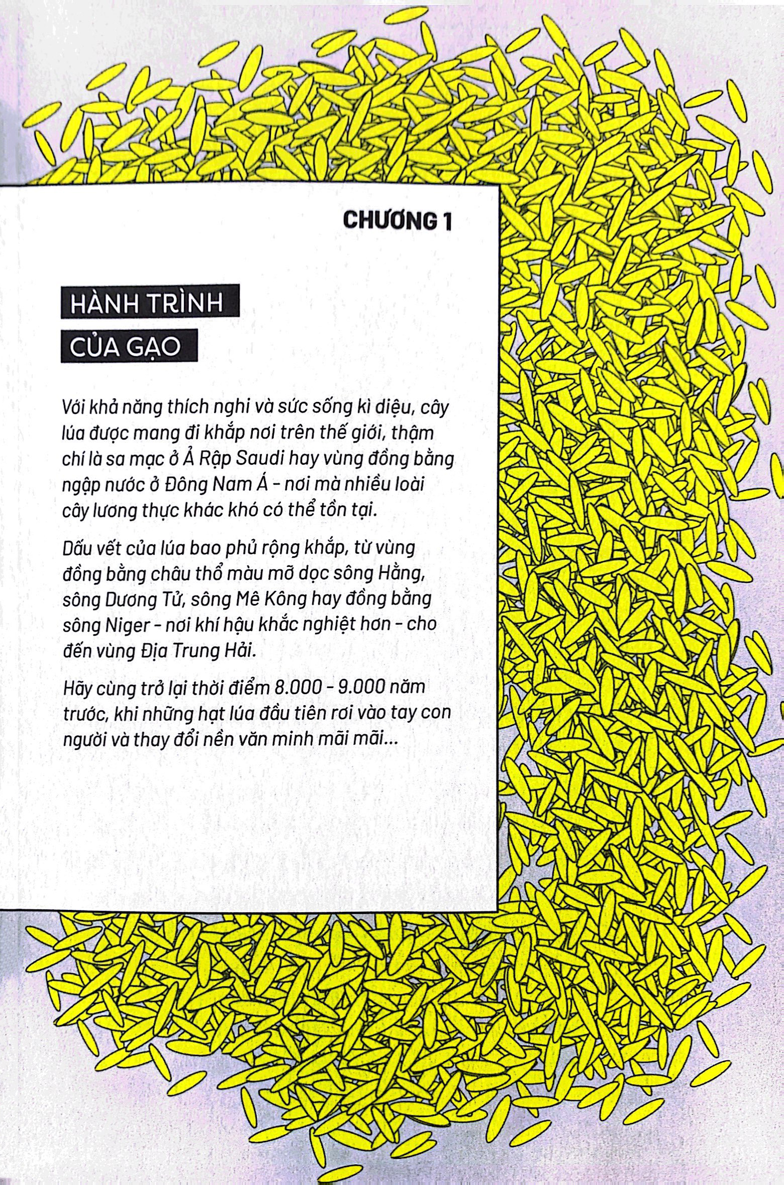 ẩm thực chinh phục thế giới - hạt gạo, hạt vàng - tặng kèm bookmark