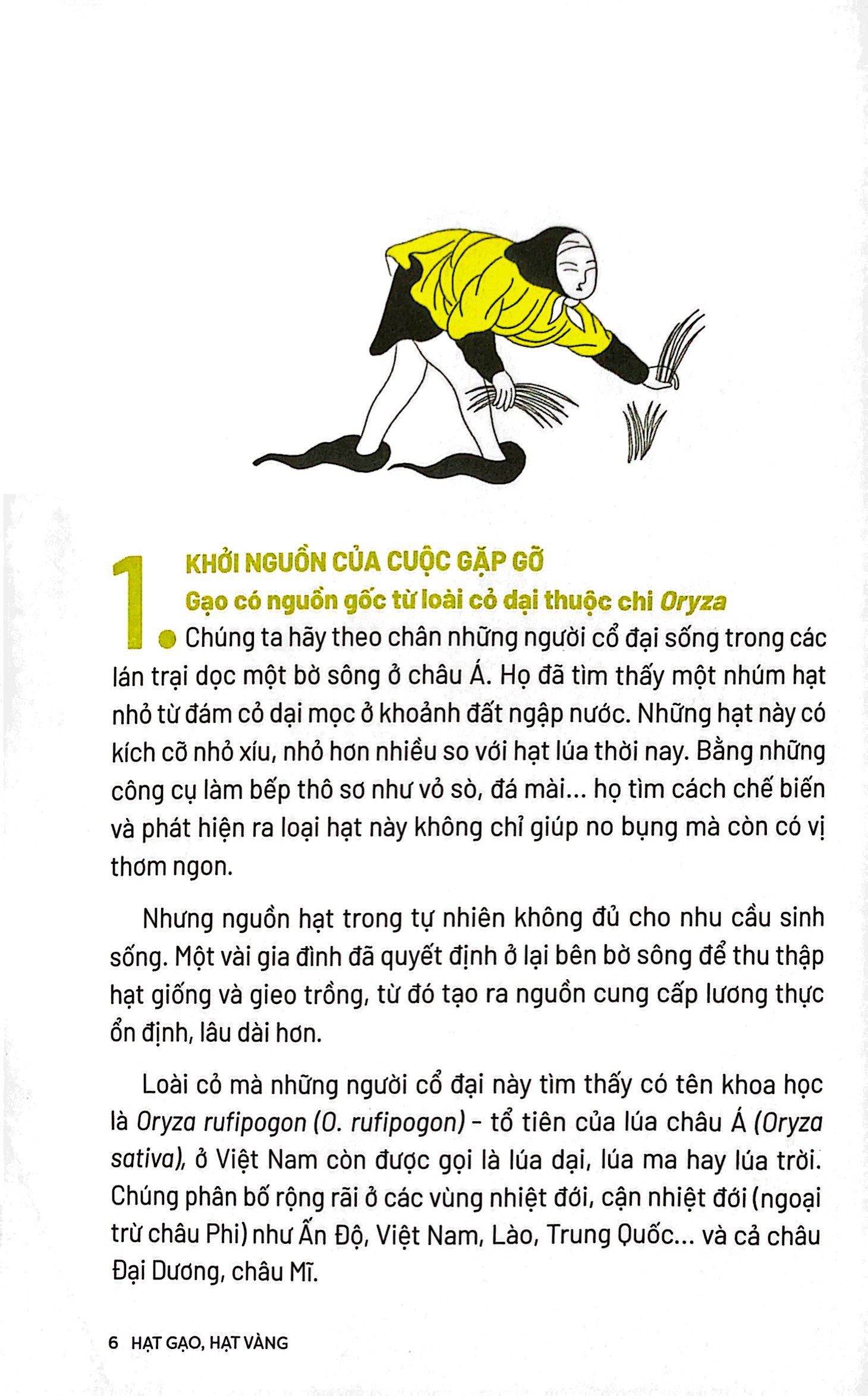 ẩm thực chinh phục thế giới - hạt gạo, hạt vàng - tặng kèm bookmark