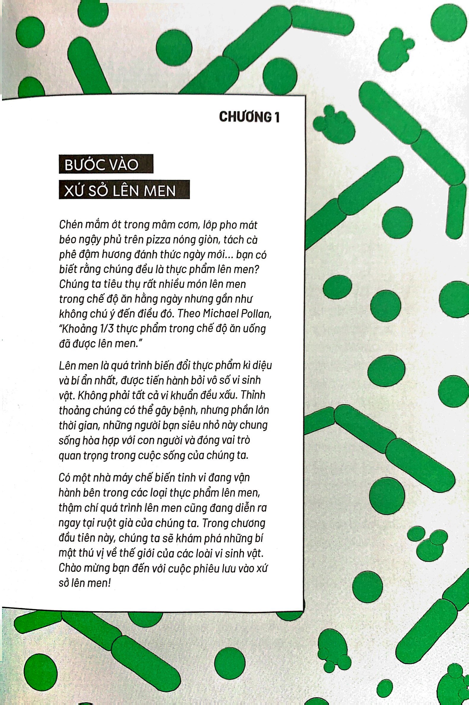 ẩm thực chinh phục thế giới - món lên men