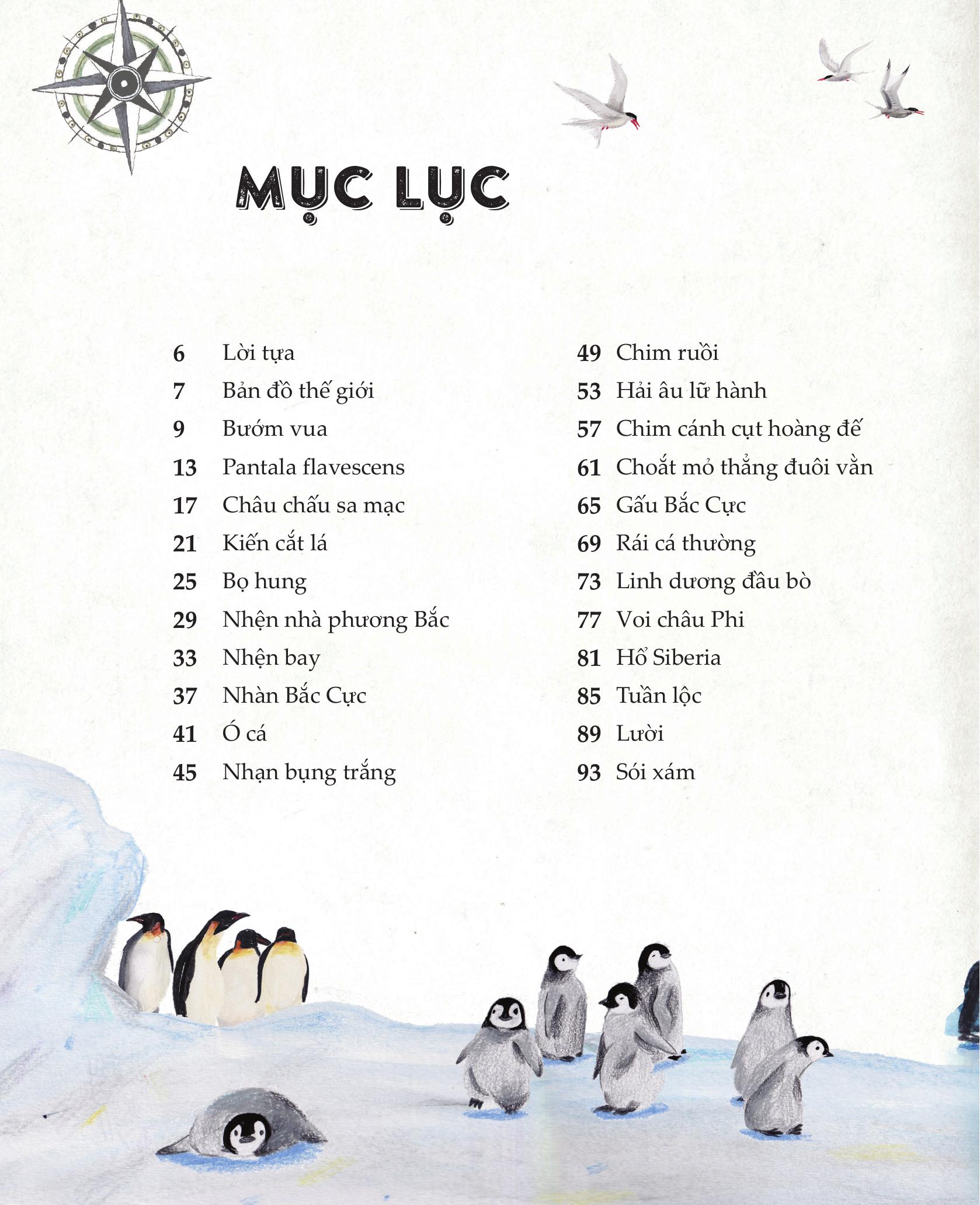 amazing animal journeys - những chuyến di cư và hành trình phi thường nhất! - bìa cứng