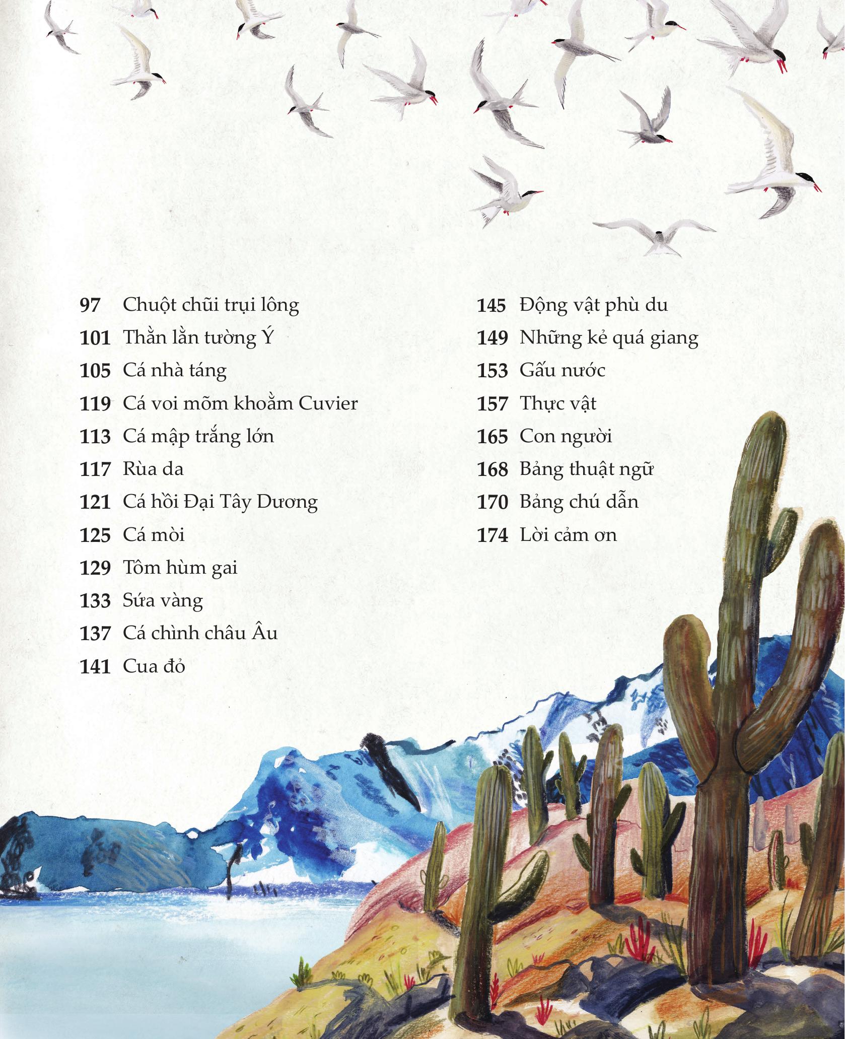 amazing animal journeys - những chuyến di cư và hành trình phi thường nhất! - bìa cứng