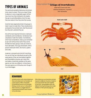 amazing animals: 100+ creatures that will boggle your mind