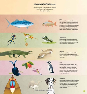 amazing animals: 100+ creatures that will boggle your mind