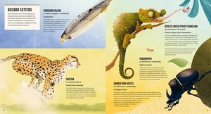 amazing animals: 100+ creatures that will boggle your mind