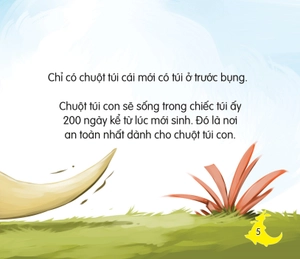 amazing animals - những loài vật đáng kinh ngạc! - chuột túi - biểu tượng của nước úc (tái bản)