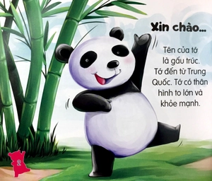 amazing animals - những loài vật đáng kinh ngạc! - gấu trúc núc na núc ních