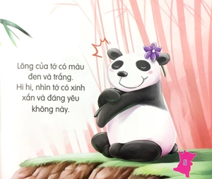 amazing animals - những loài vật đáng kinh ngạc! - gấu trúc núc na núc ních