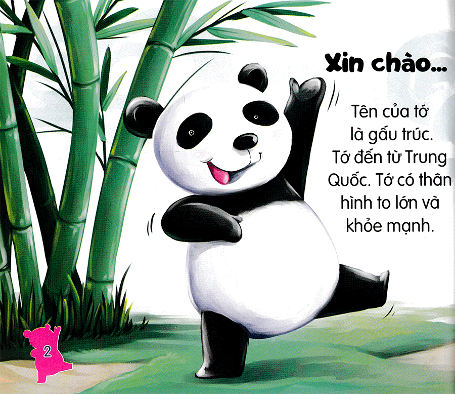 amazing animals - những loài vật đáng kinh ngạc! - gấu trúc - núc na núc ních (tái bản)