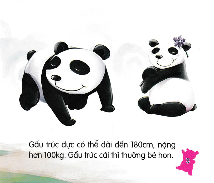 amazing animals - những loài vật đáng kinh ngạc! - gấu trúc - núc na núc ních (tái bản)