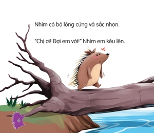 amazing animals - những loài vật đáng kinh ngạc! - nhím - lông nhọn như kim (tái bản)