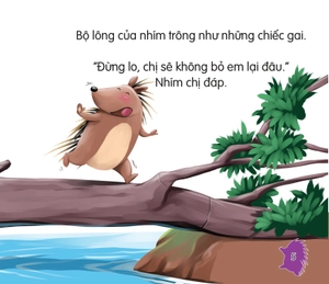 amazing animals - những loài vật đáng kinh ngạc! - nhím - lông nhọn như kim (tái bản)