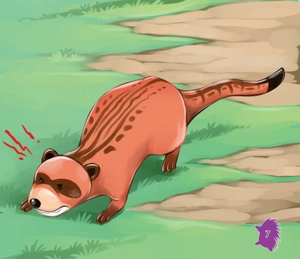 amazing animals - những loài vật đáng kinh ngạc! - nhím - lông nhọn như kim (tái bản)