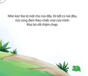 amazing animals - những loài vật đáng kinh ngạc! - rùa - chậm mà chắc (tái bản)