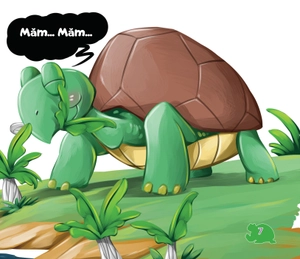 amazing animals - những loài vật đáng kinh ngạc! - rùa - chậm mà chắc (tái bản)