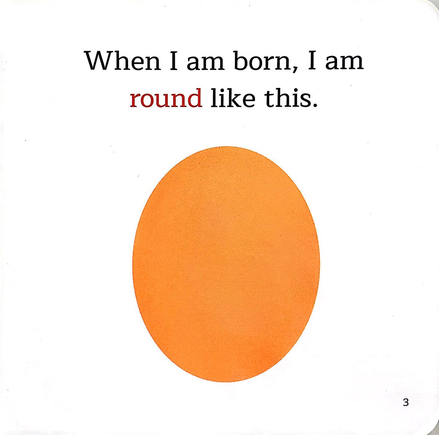 amazing transformations - guess who i am? - bìa cứng