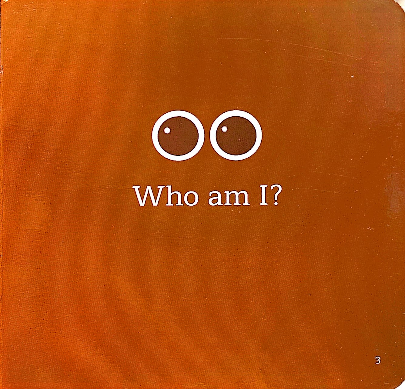 amazing transformations - who could i be? - bìa cứng