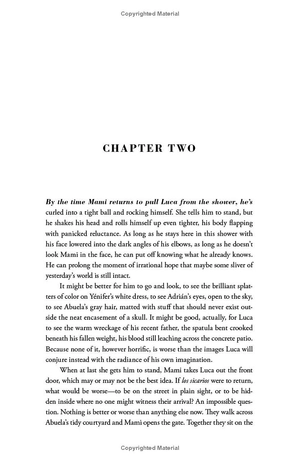 american dirt: the heartstopping read that will live with you for ever