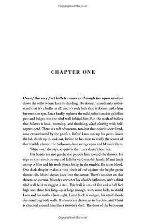 american dirt: the heartstopping read that will live with you for ever