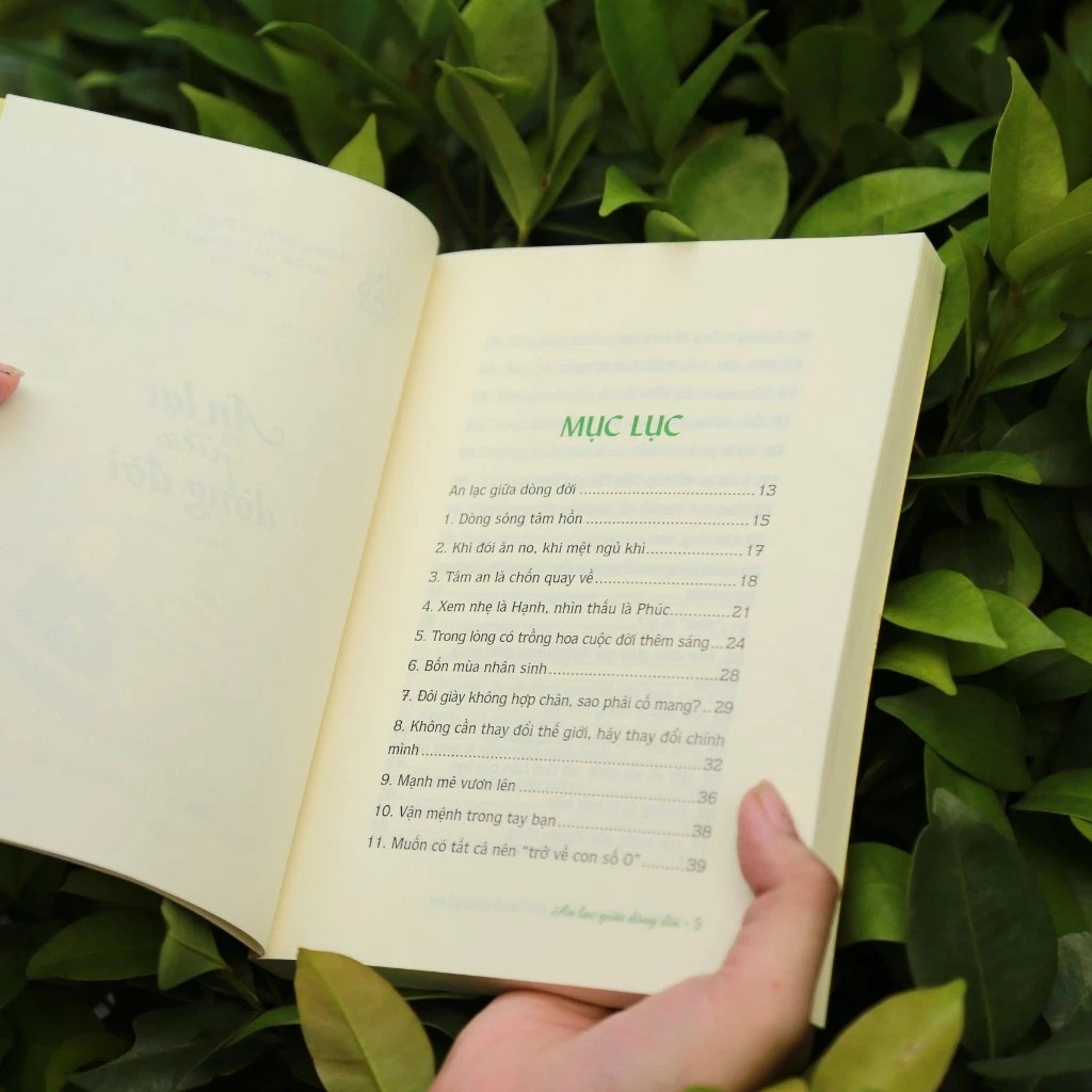 an lạc giữa dòng đời