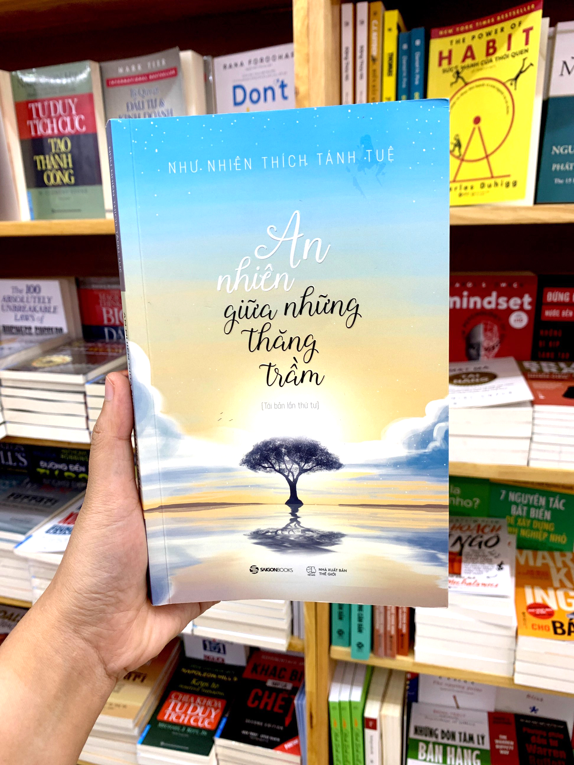 an nhiên giữa những thăng trầm (tái bản)