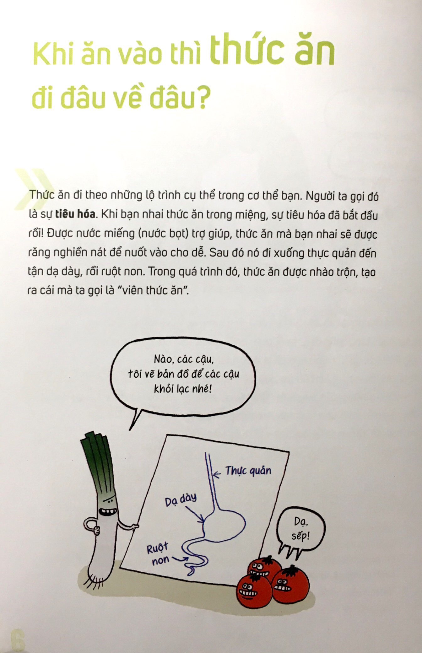 ăn rau bó xôi có khoẻ gấp đôi?