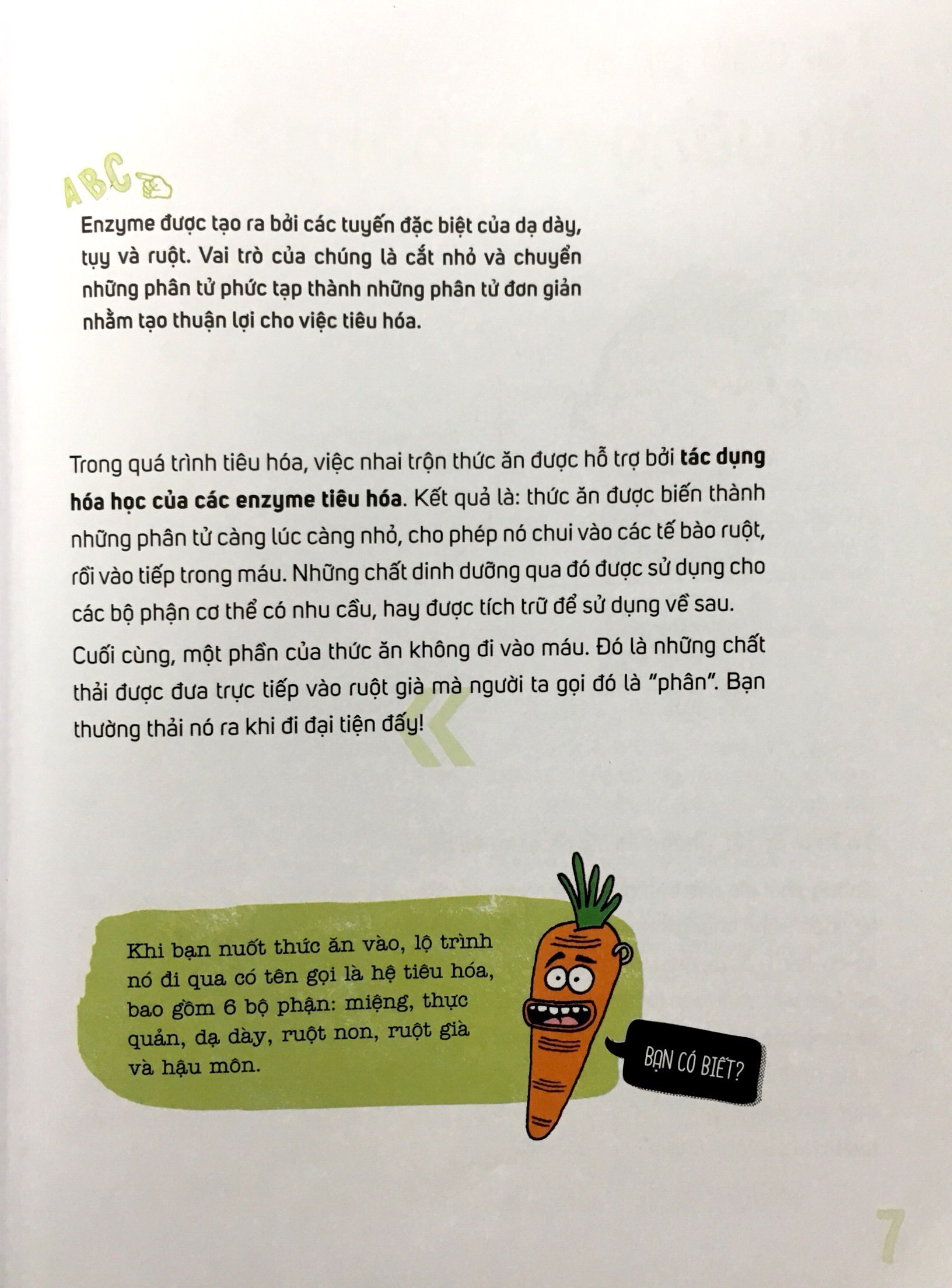 ăn rau bó xôi có khoẻ gấp đôi?