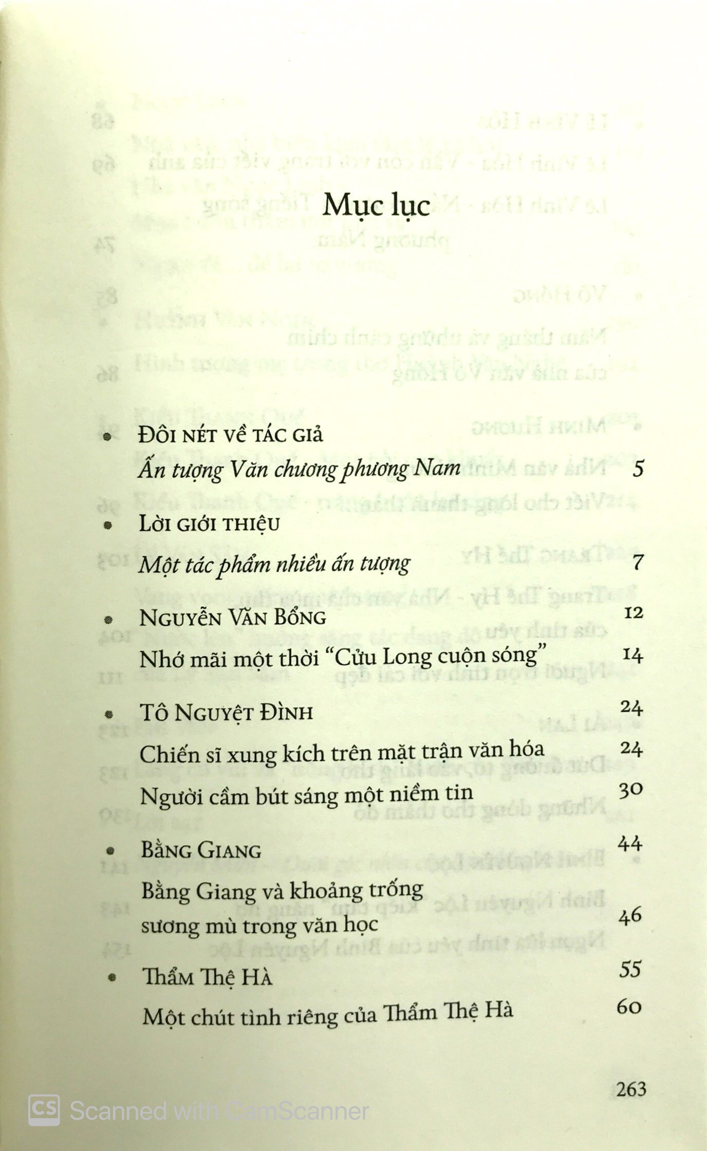 ấn tượng văn chương phương nam