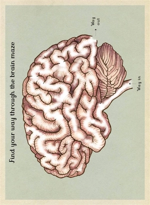 anatomicum activity book