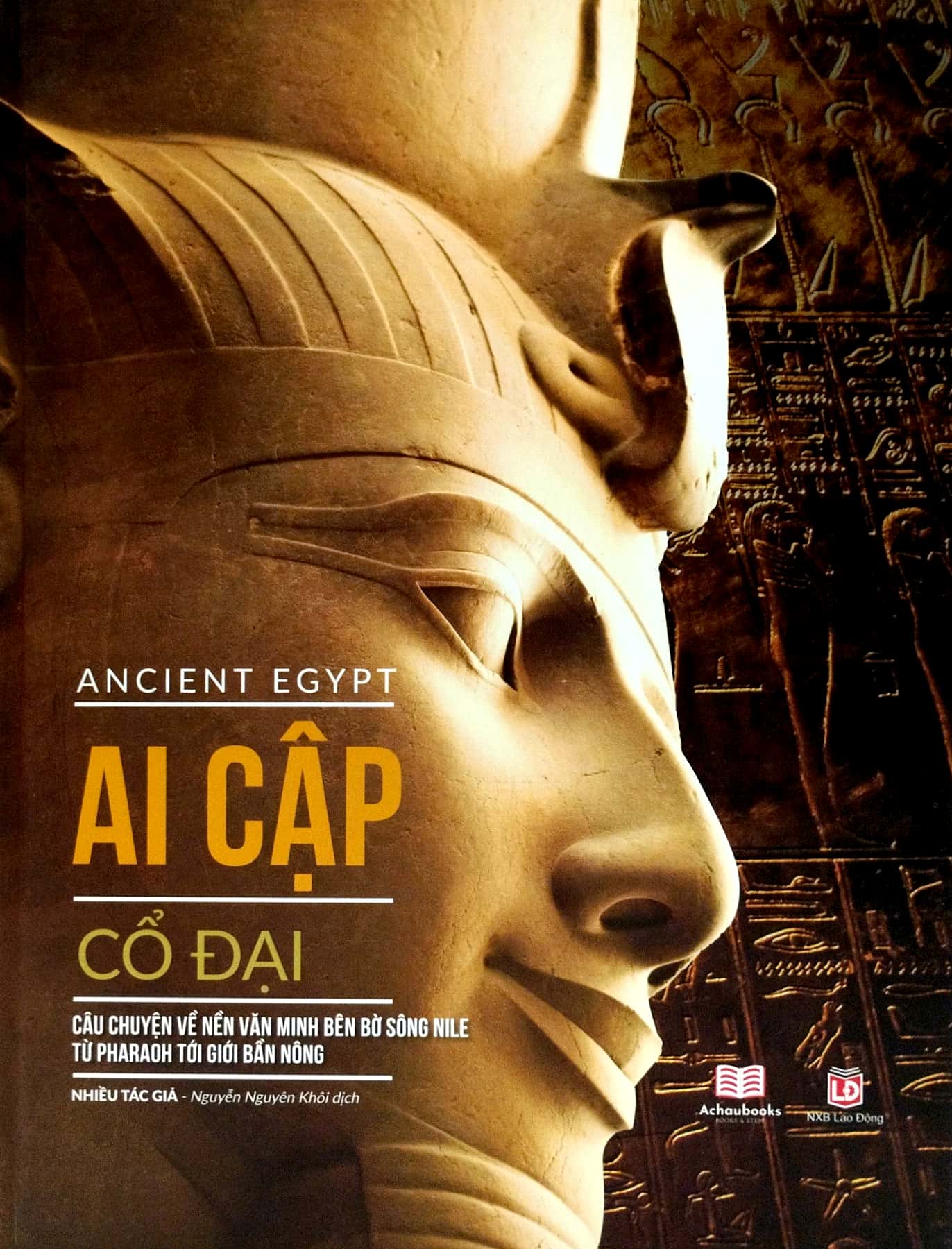 Ancient Egypt - Ai Cap Co Dai